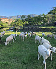 Ferme Auberge La Bola outside