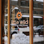 Little Wild outside