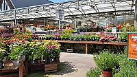 3 Shires Garden Centre outside