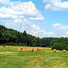 Zur Schortemühle food