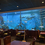 Rumfish Grill inside