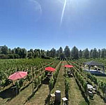 West Street Vineyard outside