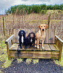 Loch Leven's Larder outside