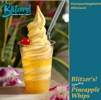 Blitzer's Premium Frozen Yogurt food