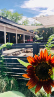 Palate Bottle Shop Garden inside