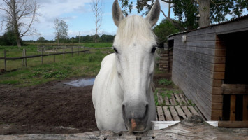 La Ferme de Melusine food