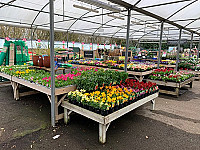 Springfield Garden Centre inside