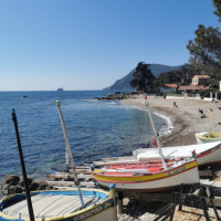 Les Pins Parasols outside