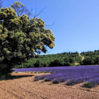 Brasserie Artisanale Du Pays Des Sorgues outside