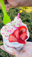 Yogurtland Arvada food