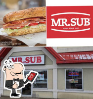 Mr.sub food