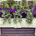 The Covent Garden Kafeneo outside