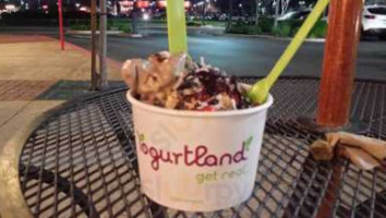 Yogurtland food