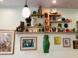 Green Owl inside