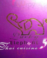 Lucky Elephant Thai Cuisine food