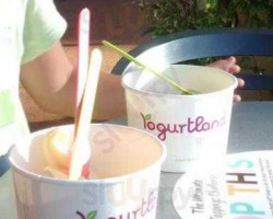 Yogurtland food