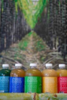 Raw Cane Superjuice food