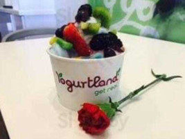 Yogurtland food