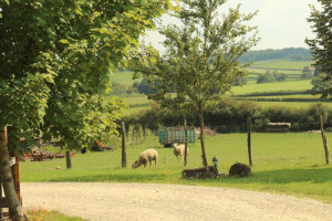 Ferme Auberge de Chamoge outside