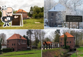 De Vogelmolen Haelen food