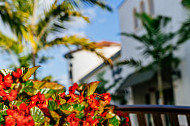 University Village Shops outside