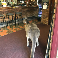 John Forrest Tavern inside