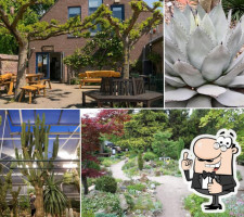 Botanische Tuinen Jochumhof food