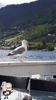 Fjordkroa Leikanger food