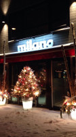 Milano pizzeria food