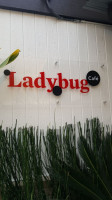 Ladybug Café food