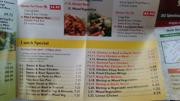 China Express menu