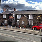 Fox Hounds outside