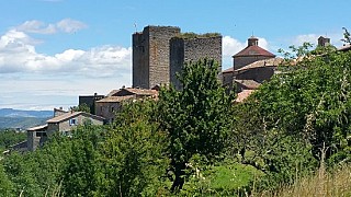 Bar du Platane