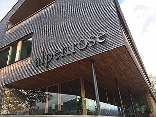 Alpenrose