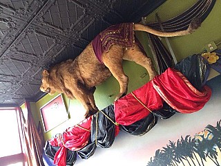 The Lion's Den Cafe