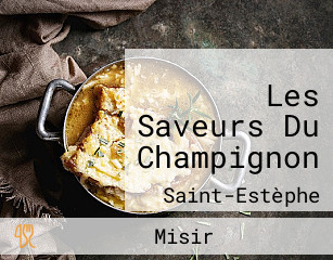 Les Saveurs Du Champignon