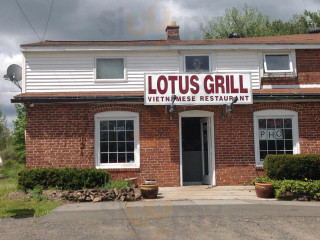 Lotus Grill