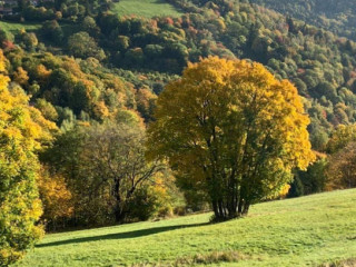 Ferme Auberge Du Hilsen