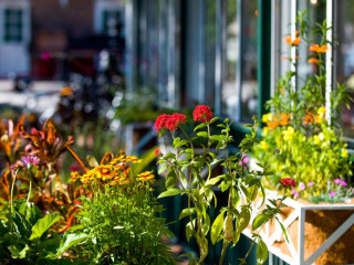 Cafe Alfresco