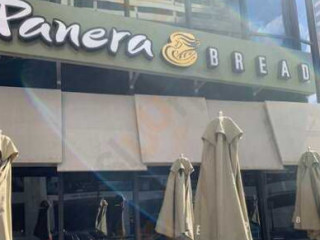 Panera Bread