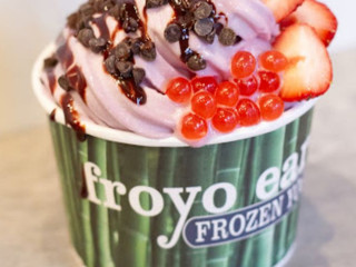 Froyo Earth