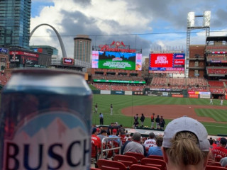 The Budweiser Bowtie