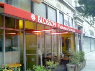 Blossom Vietnamese