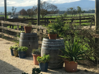 Yarra Valley Dairy