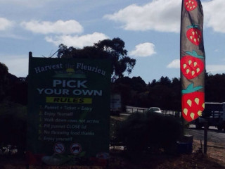 Harvest The Fleurieu