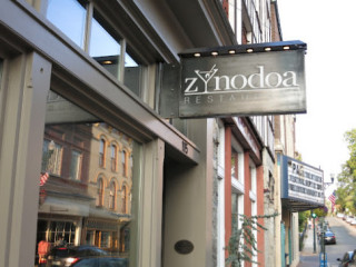 Zynodoa