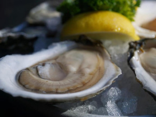 Taylor Shellfish Oyster