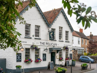 The Pelican