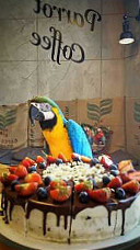 Parrot Coffee