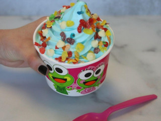 Sweet Frog Leesburg